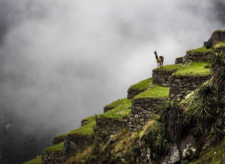 Camino Inca febrero
