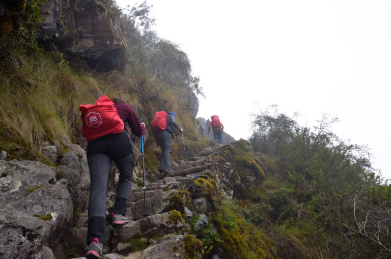 escalones mata gringos del Camino Inca Sayacmarca