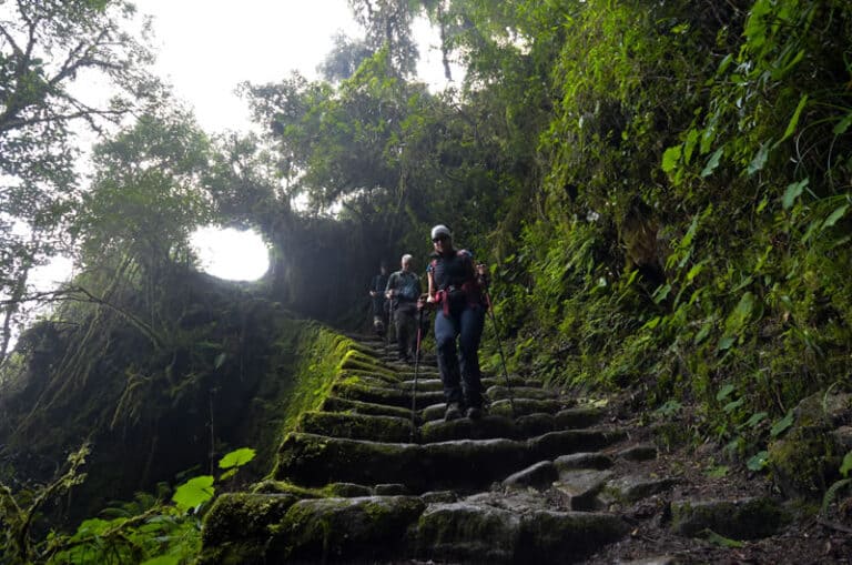 Fotos del Camino Inca escaleras del mono