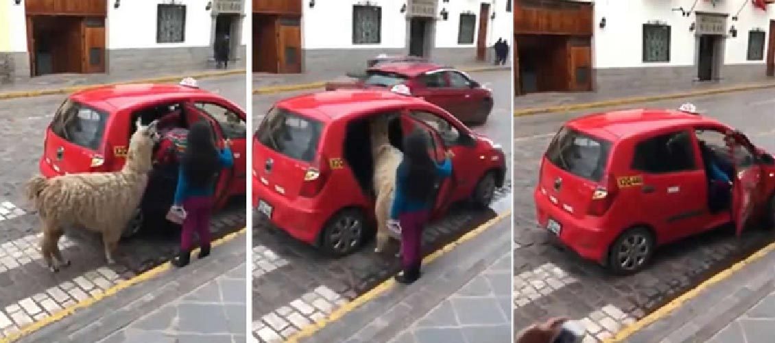 taxi Cusco Ollantaytambo