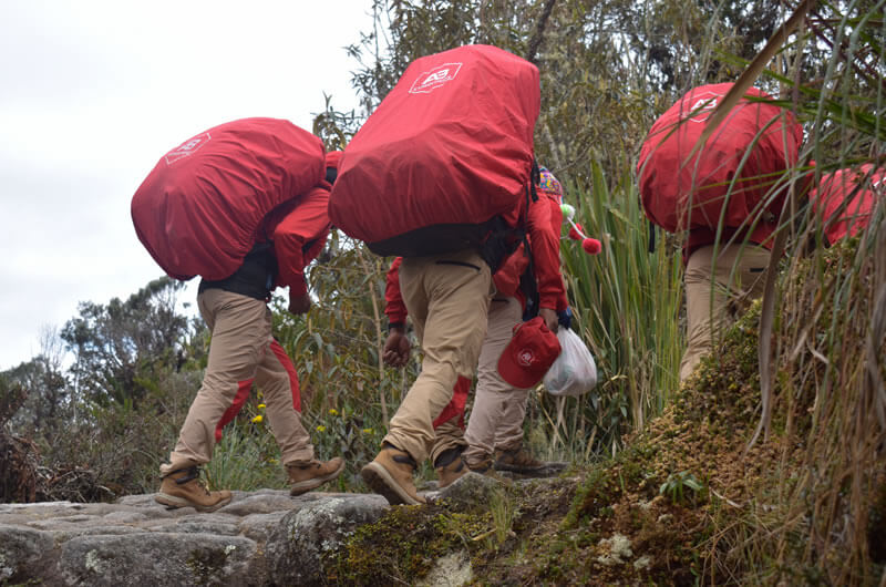 our inca trail porters hiking over the classic inca trail 