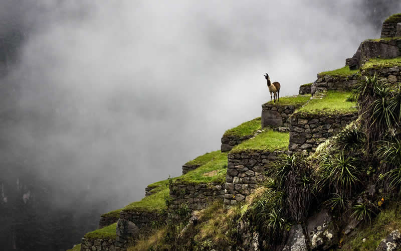 Where Is Machu Picchu Located Scenery