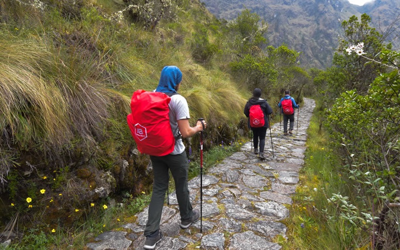 Best Peru Trekking Companies Flexibility